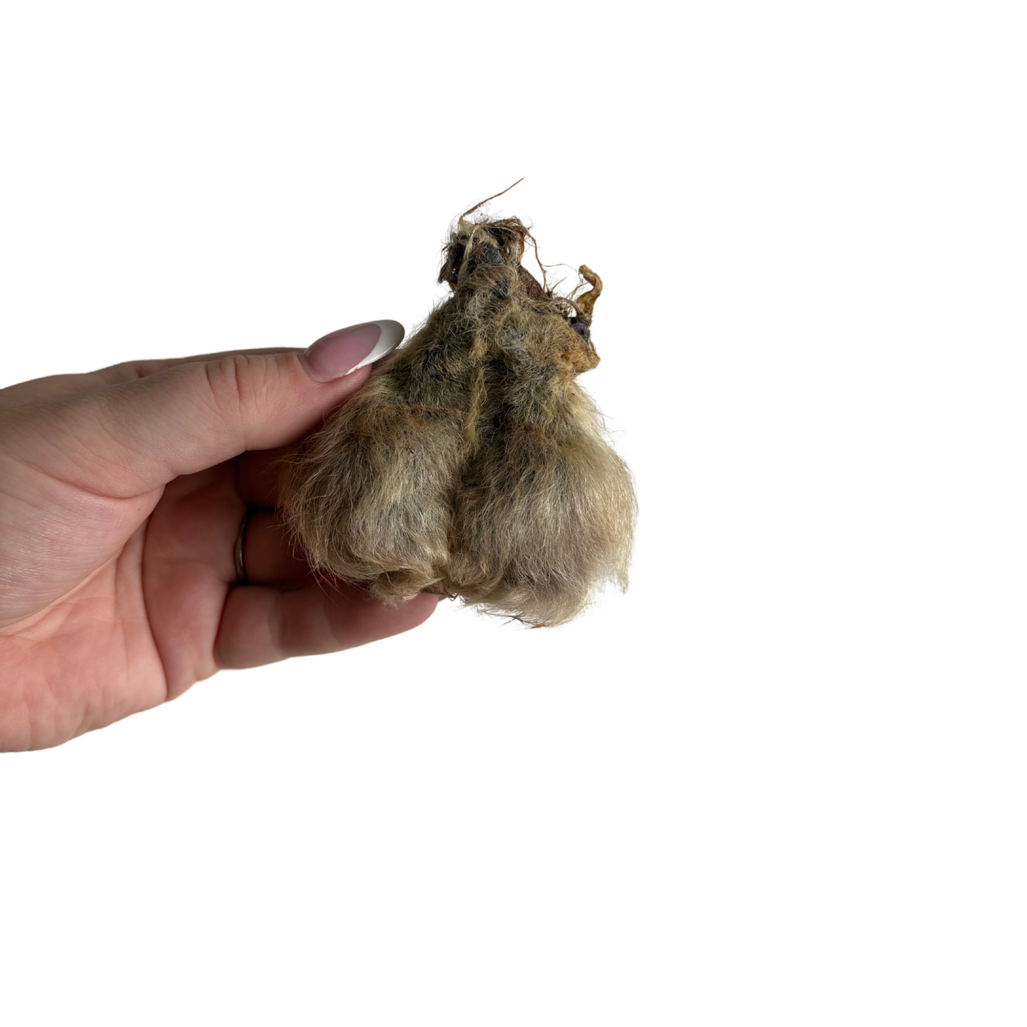 Hairy roo balls