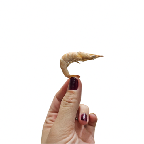 Schooling prawns 20g
