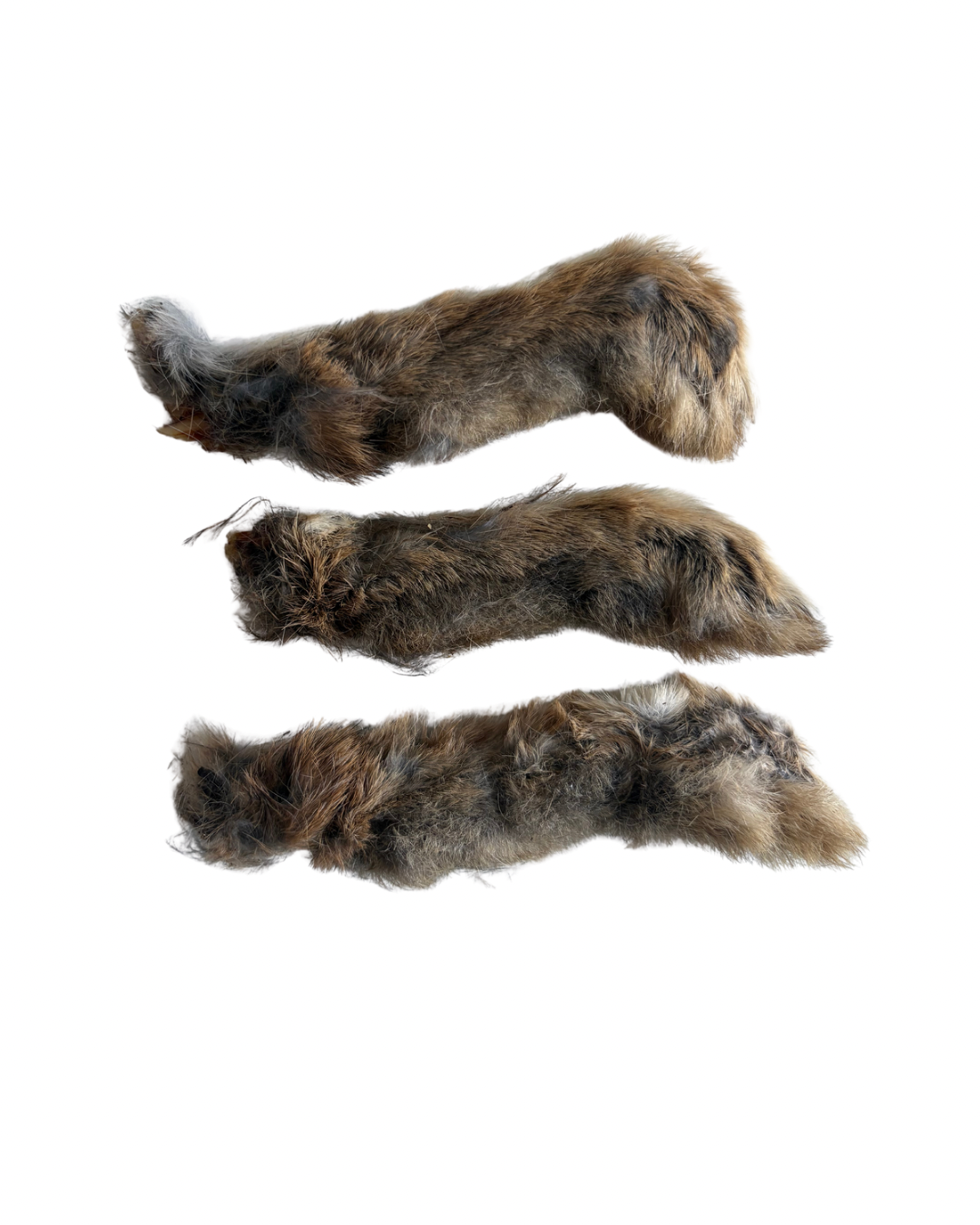 Rabbit legs