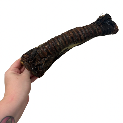 XL Moo tube