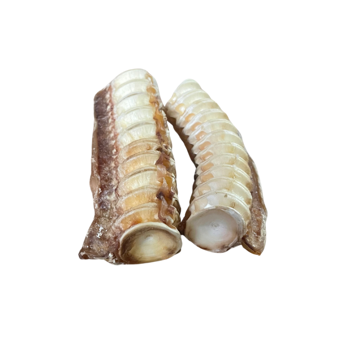 Shark cartilage - Thick