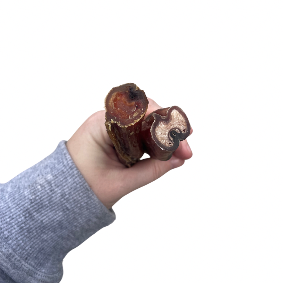 Bully stick