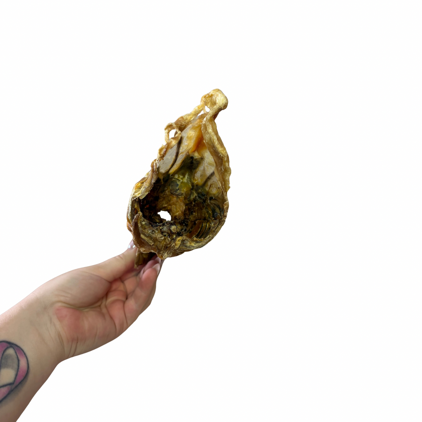 Chook frame