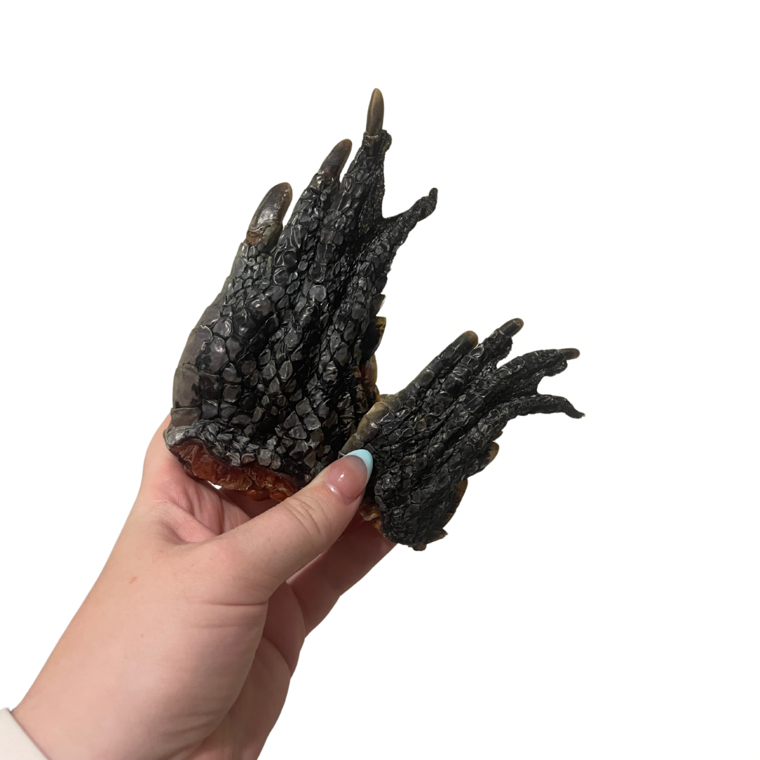 Croccy feet