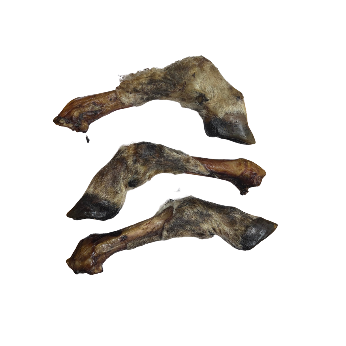 Sheep shank w fur