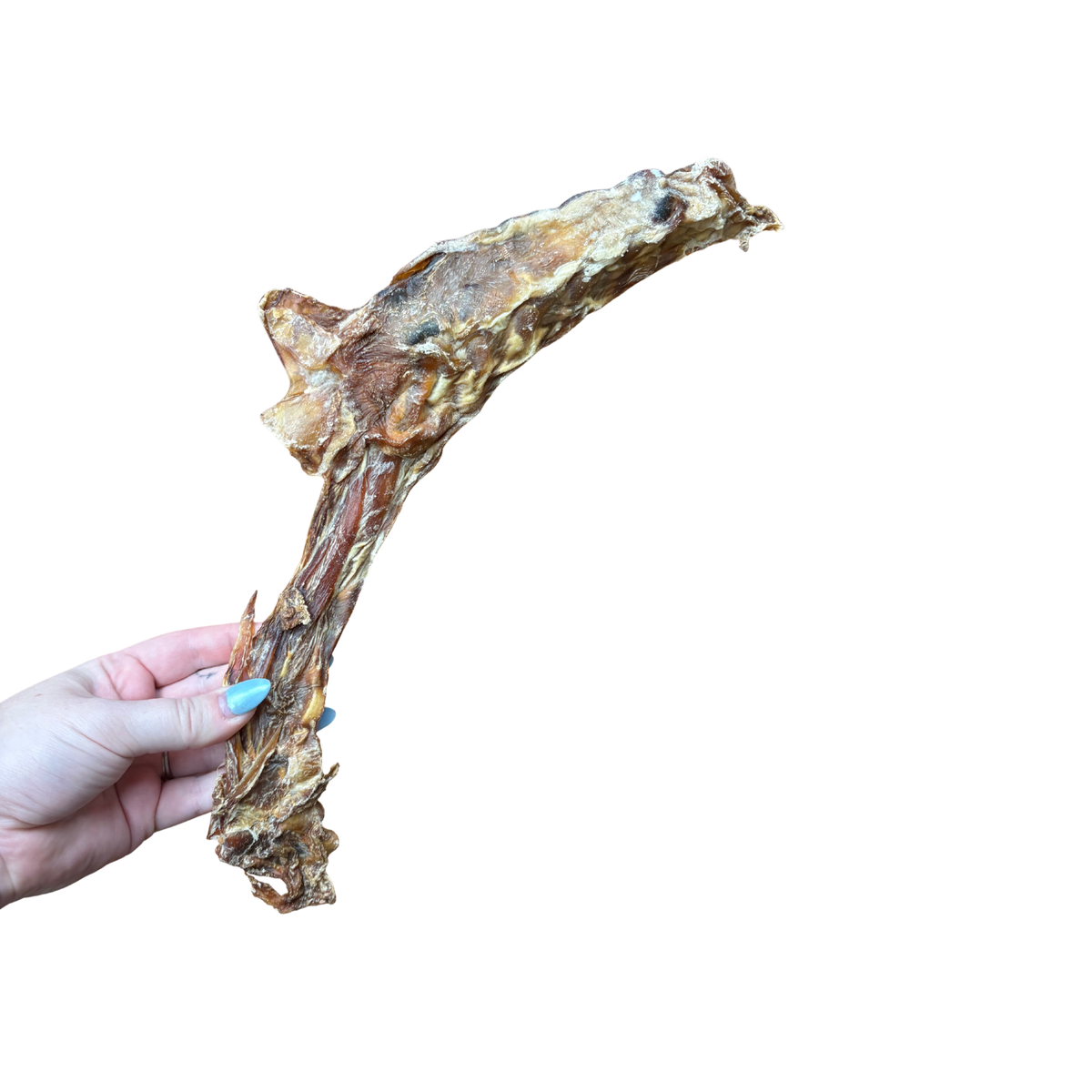 Veal sternum