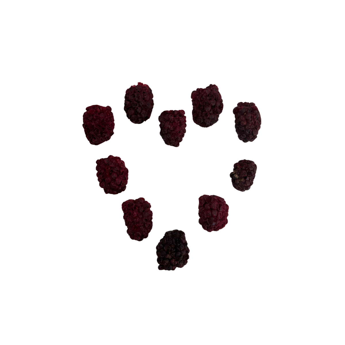 Freeze dried blackberries