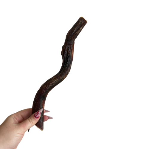 30cm Bully stick