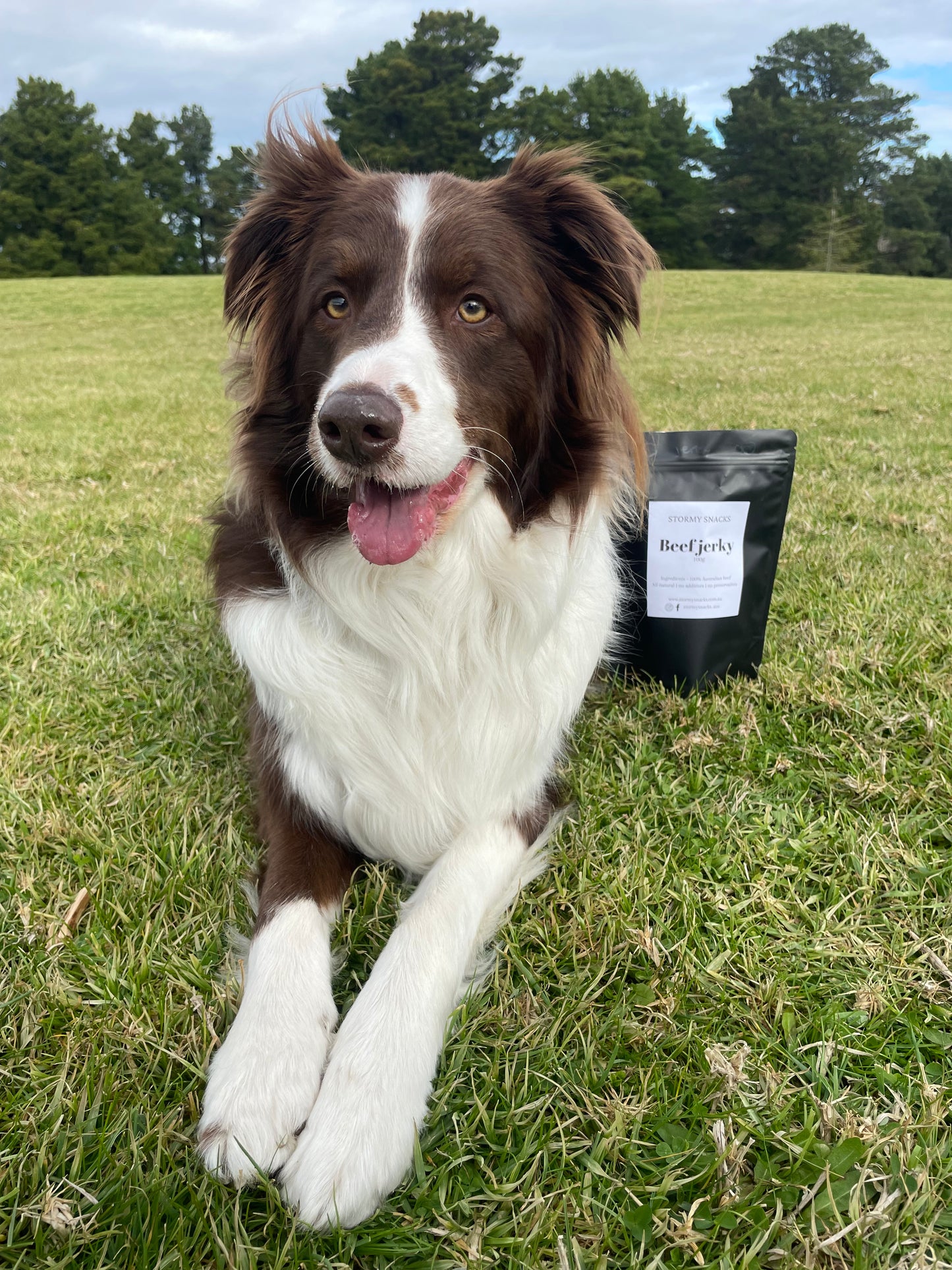 Beef jerky
