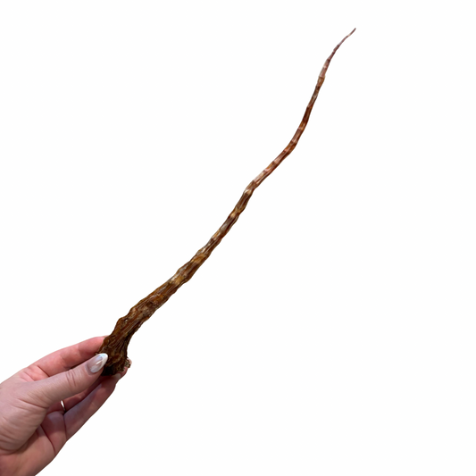 Moo tail tip