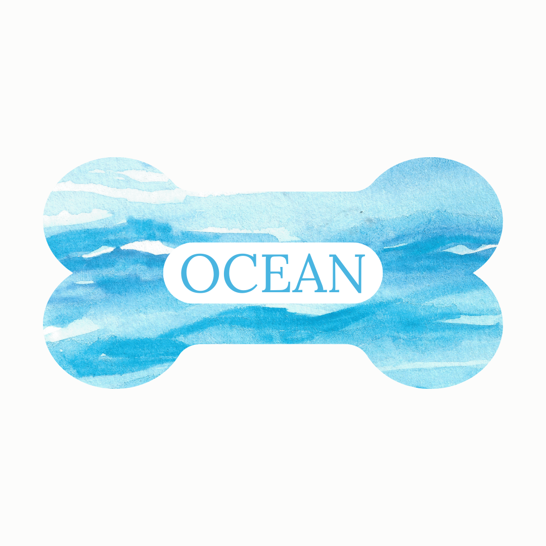 Ocean tag
