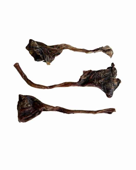Roo tendons
