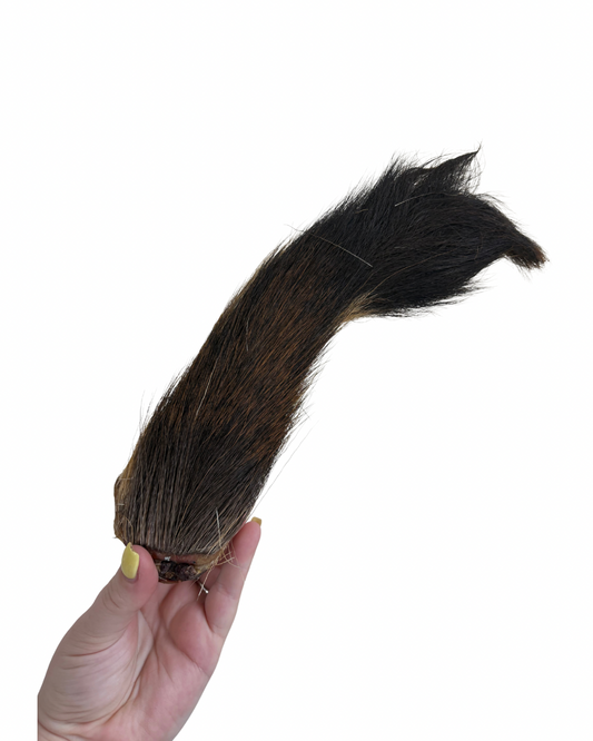 Large venison tail