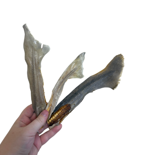 Shark cartilage with tail
