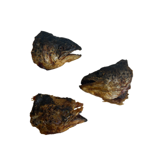 Salmon head