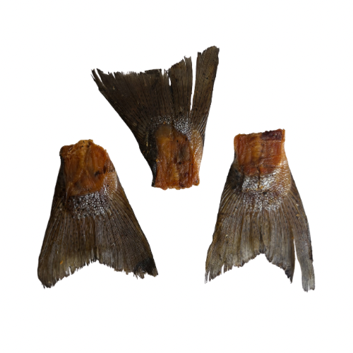 Salmon tails 2pk