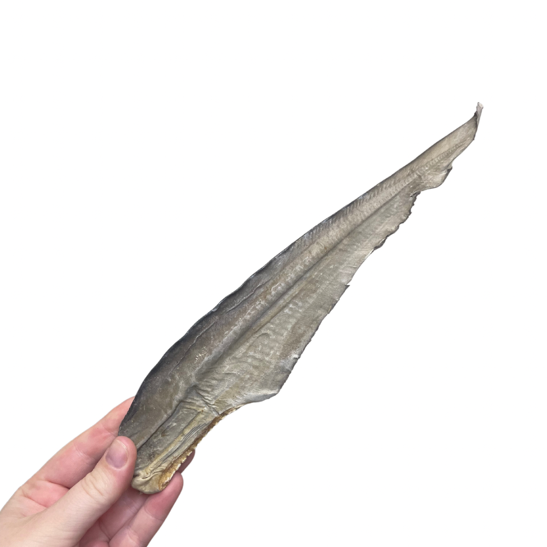 Shark tail