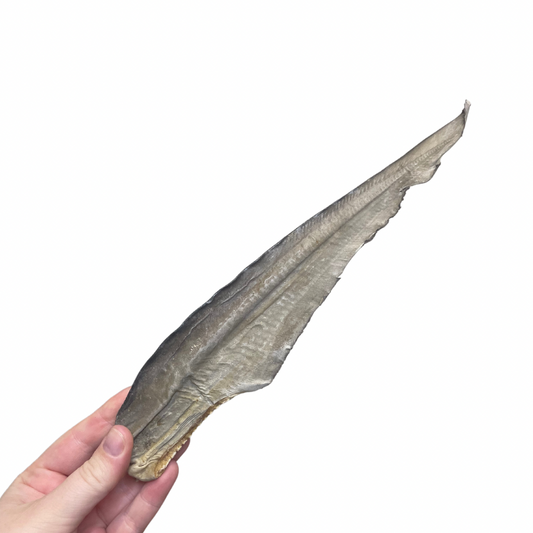 Shark tail