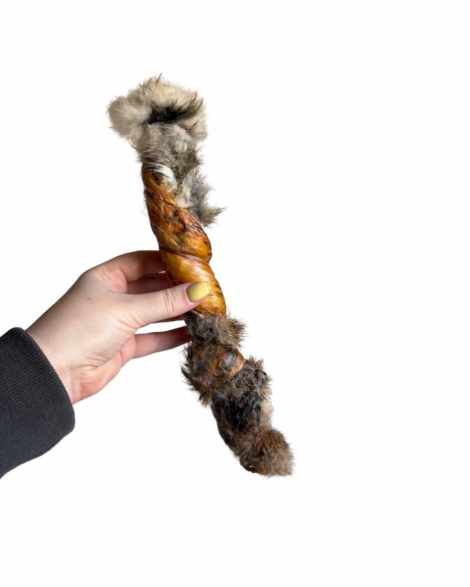 Rabbit – Stormy Snacks