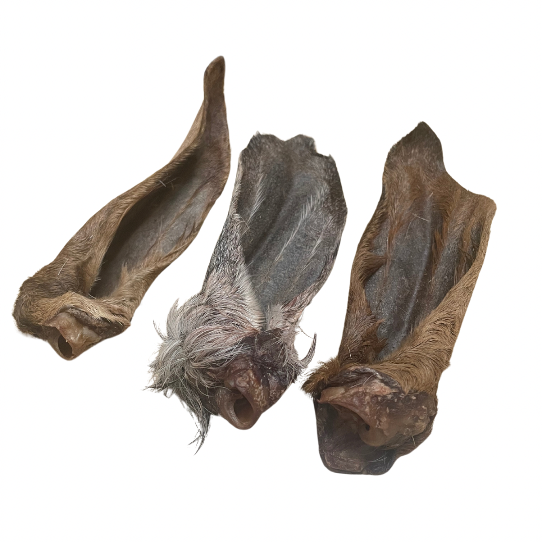 Hairy goat ears