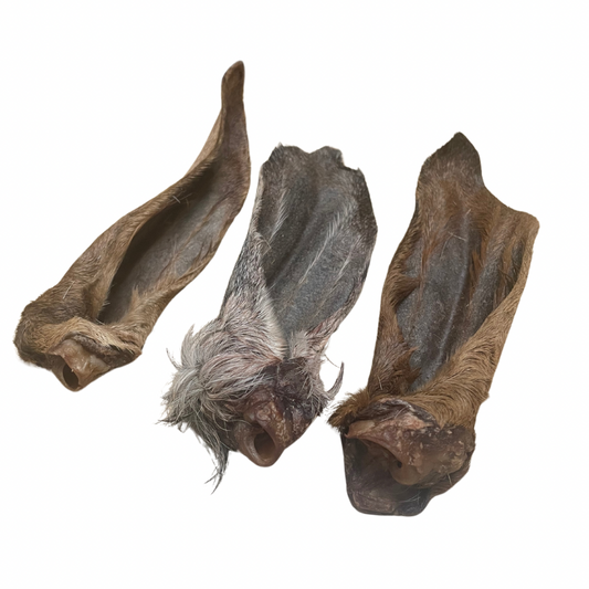 Hairy goat ears