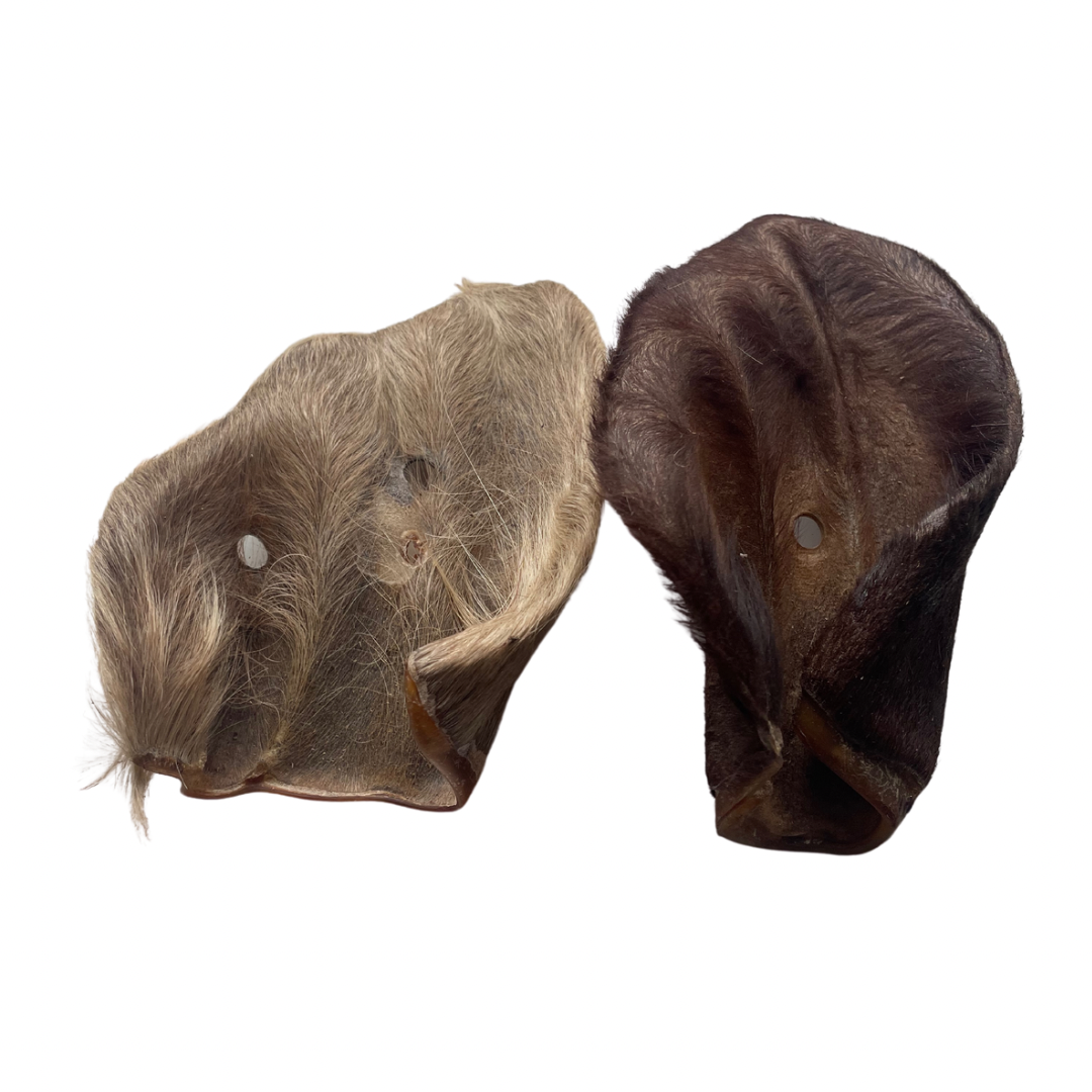 Hairy cow ear