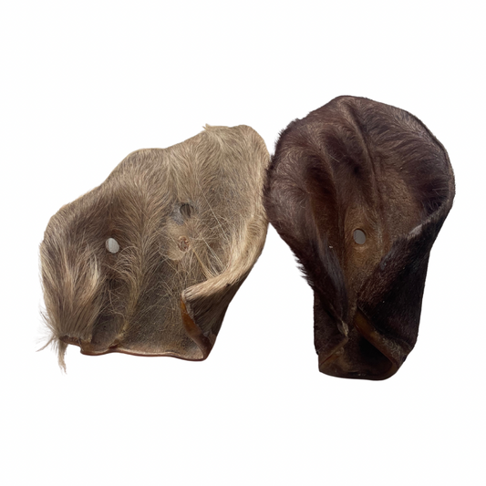 Hairy cow ear