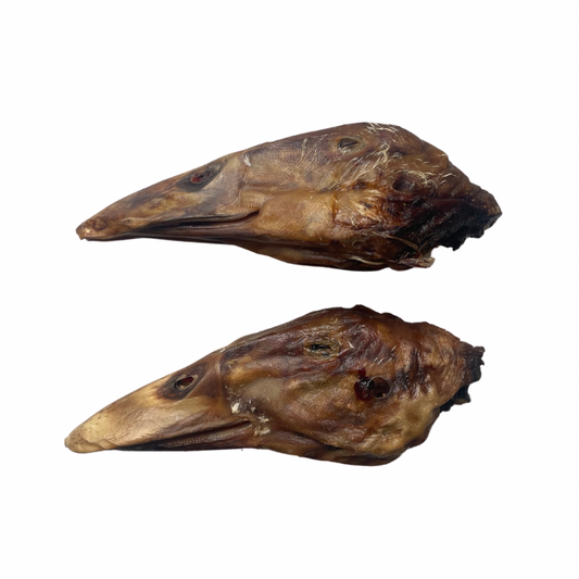 Whole duck head
