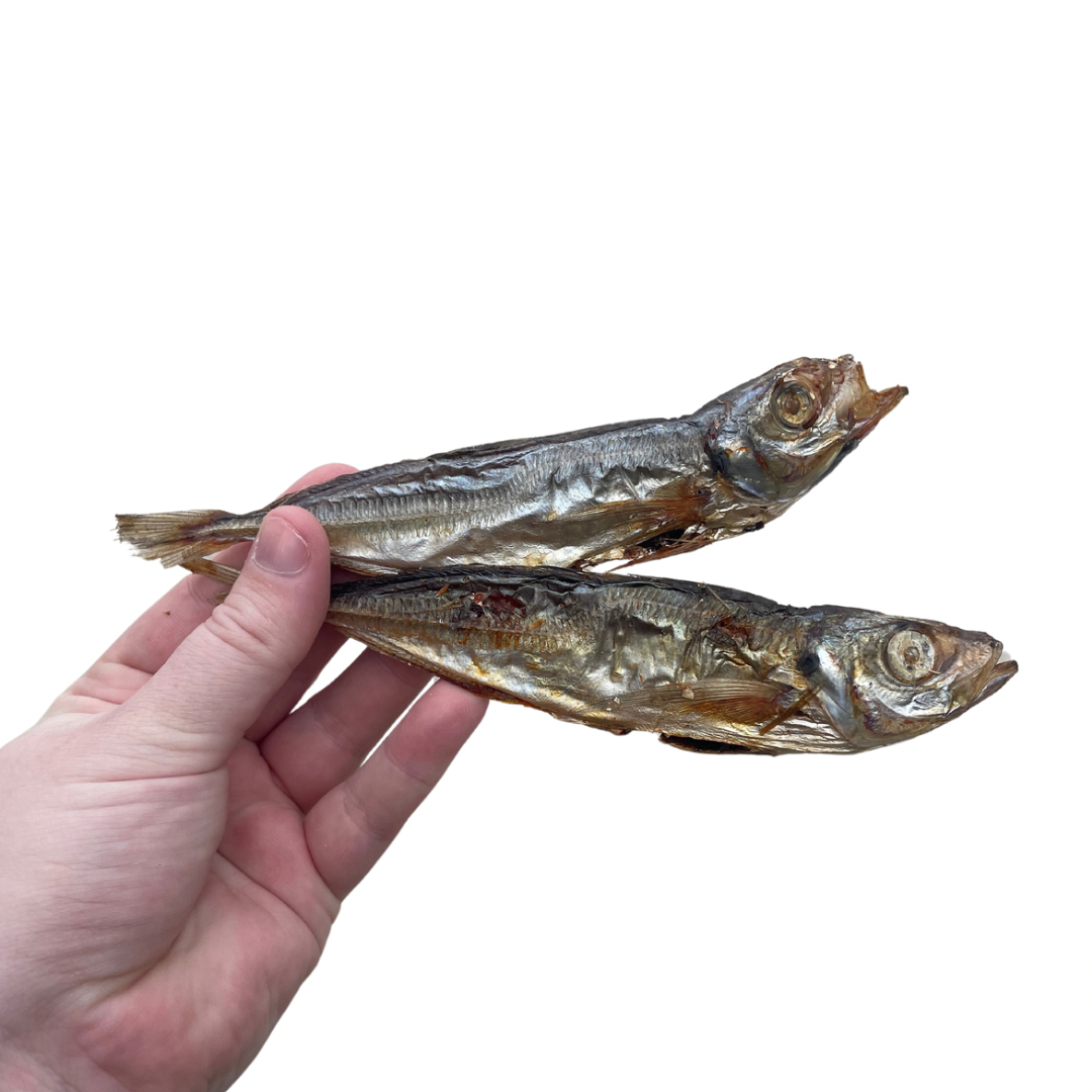 Sardines