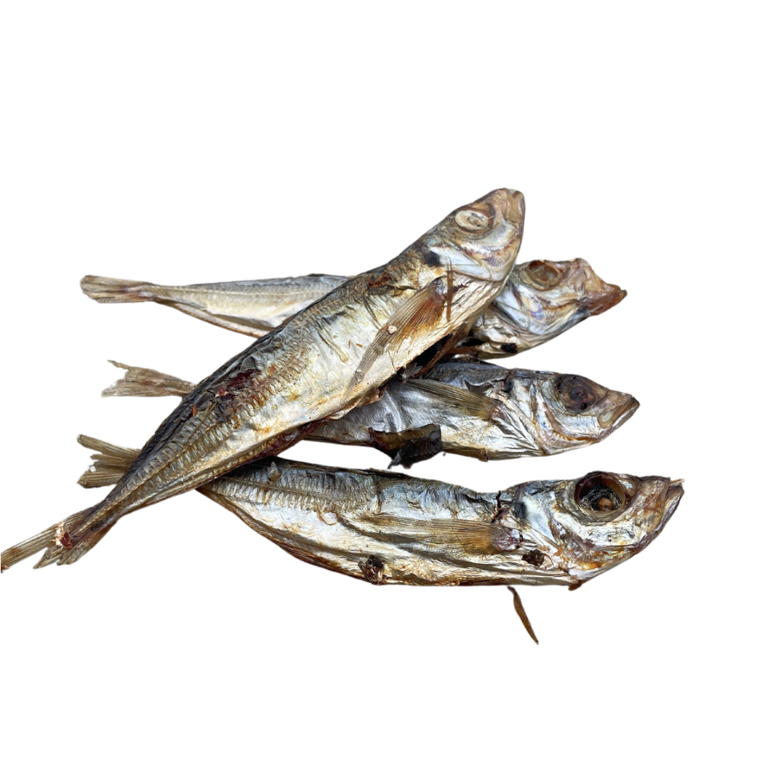 Sardines