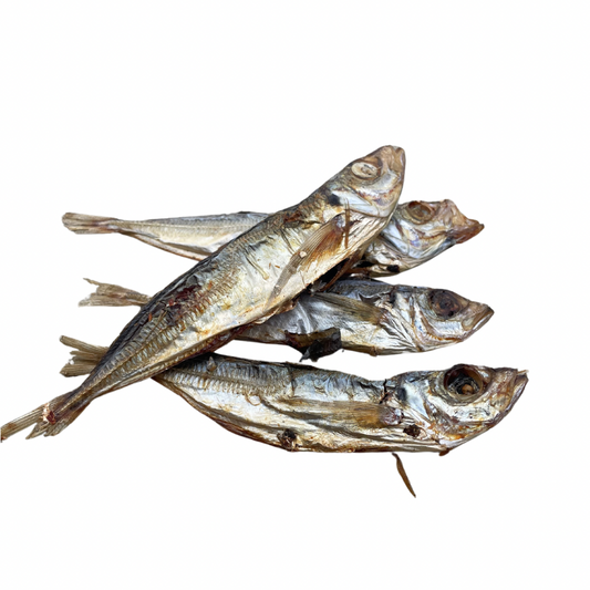 Sardines