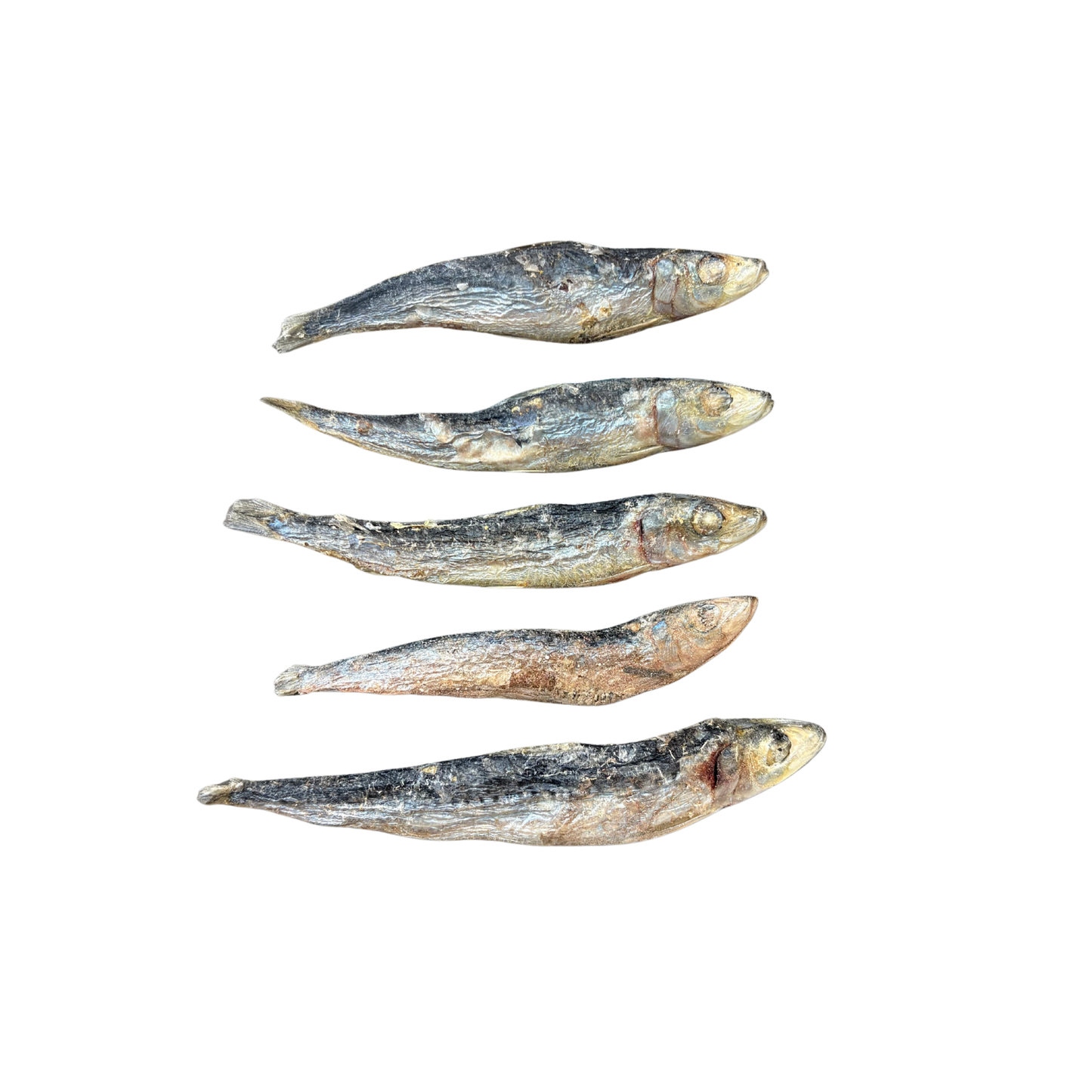 Freeze dried pilchards