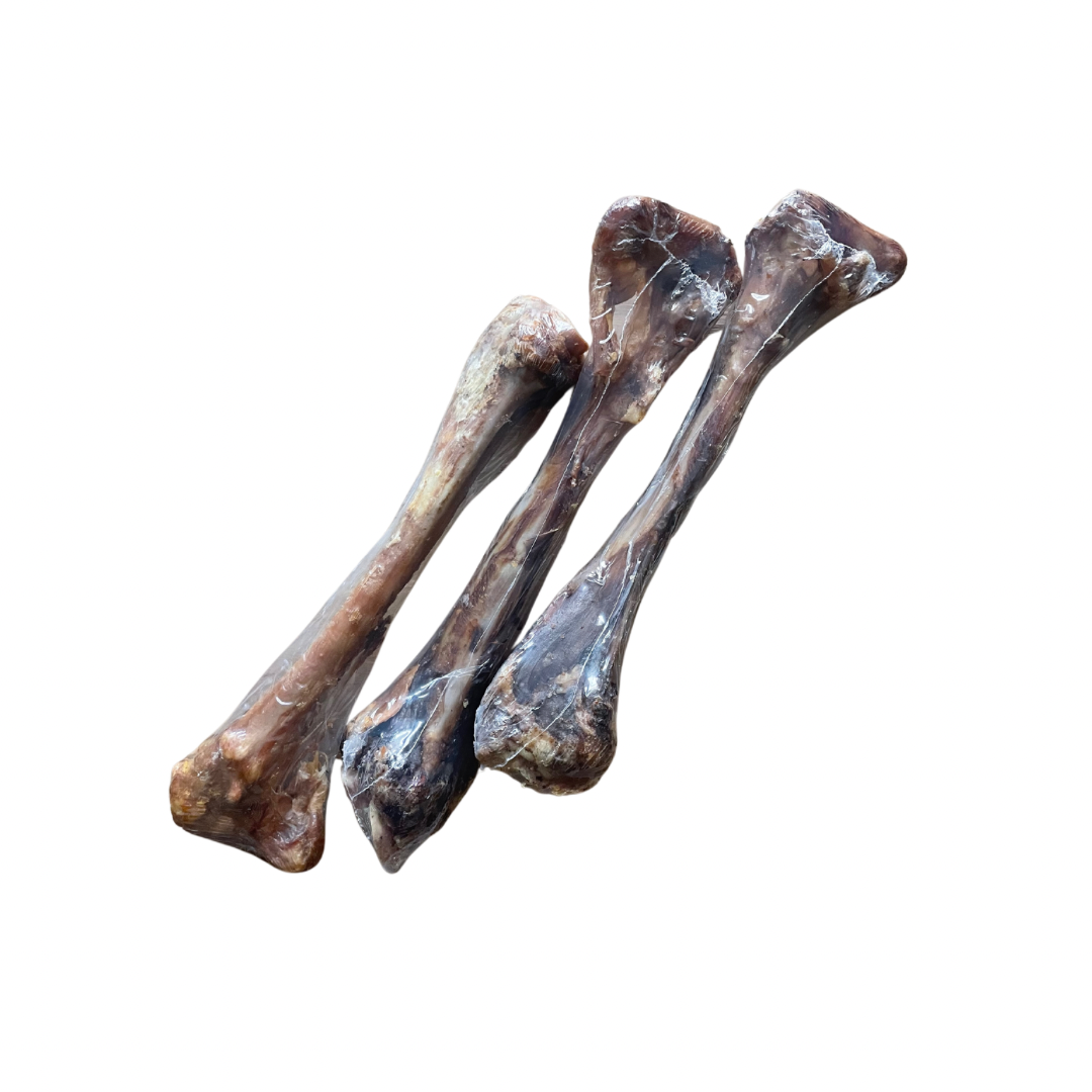 Lamb femur