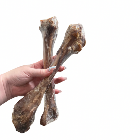 Lamb femur