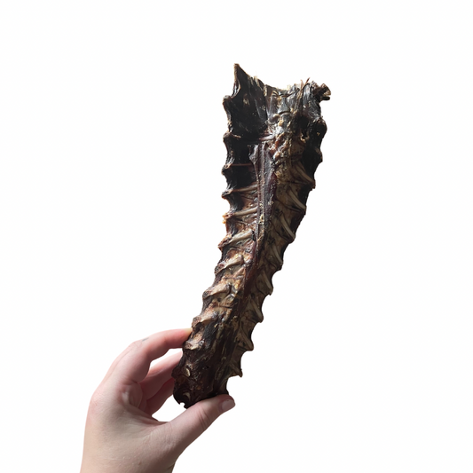 Large roo lumbar