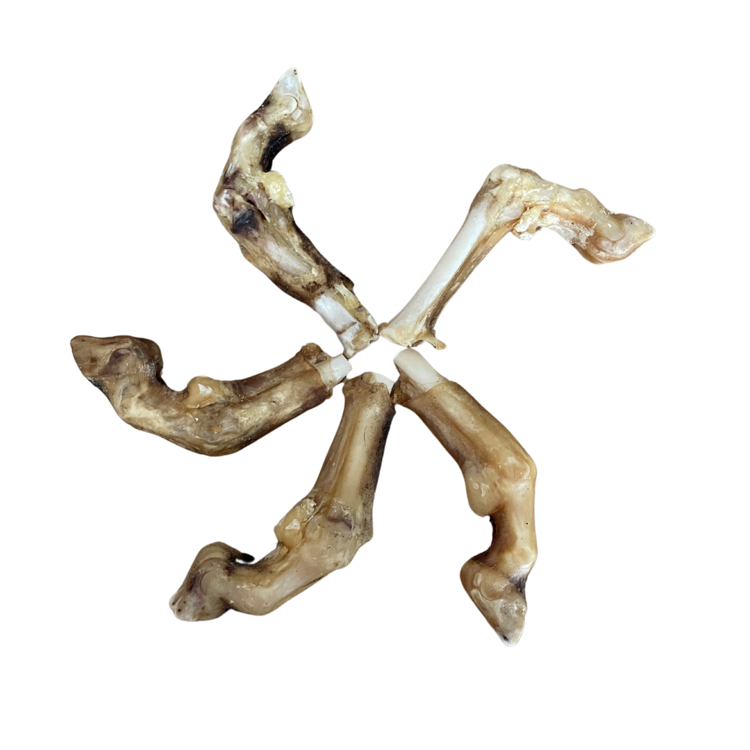 Goat shanks w trotter