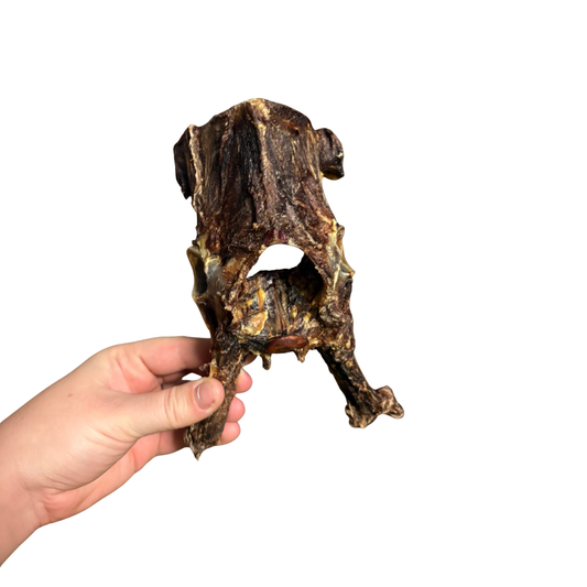 Roo pelvis