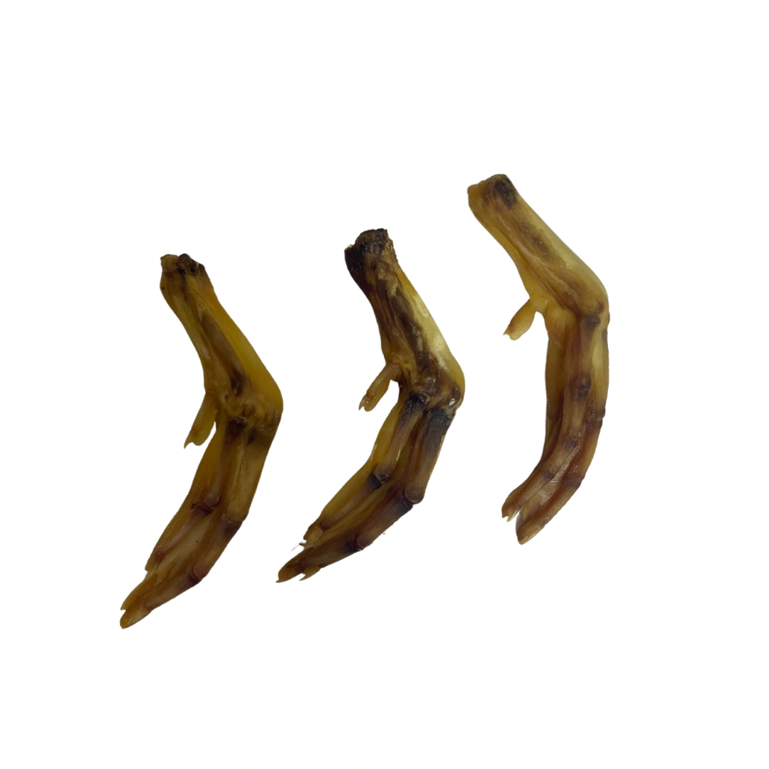 Duck feet