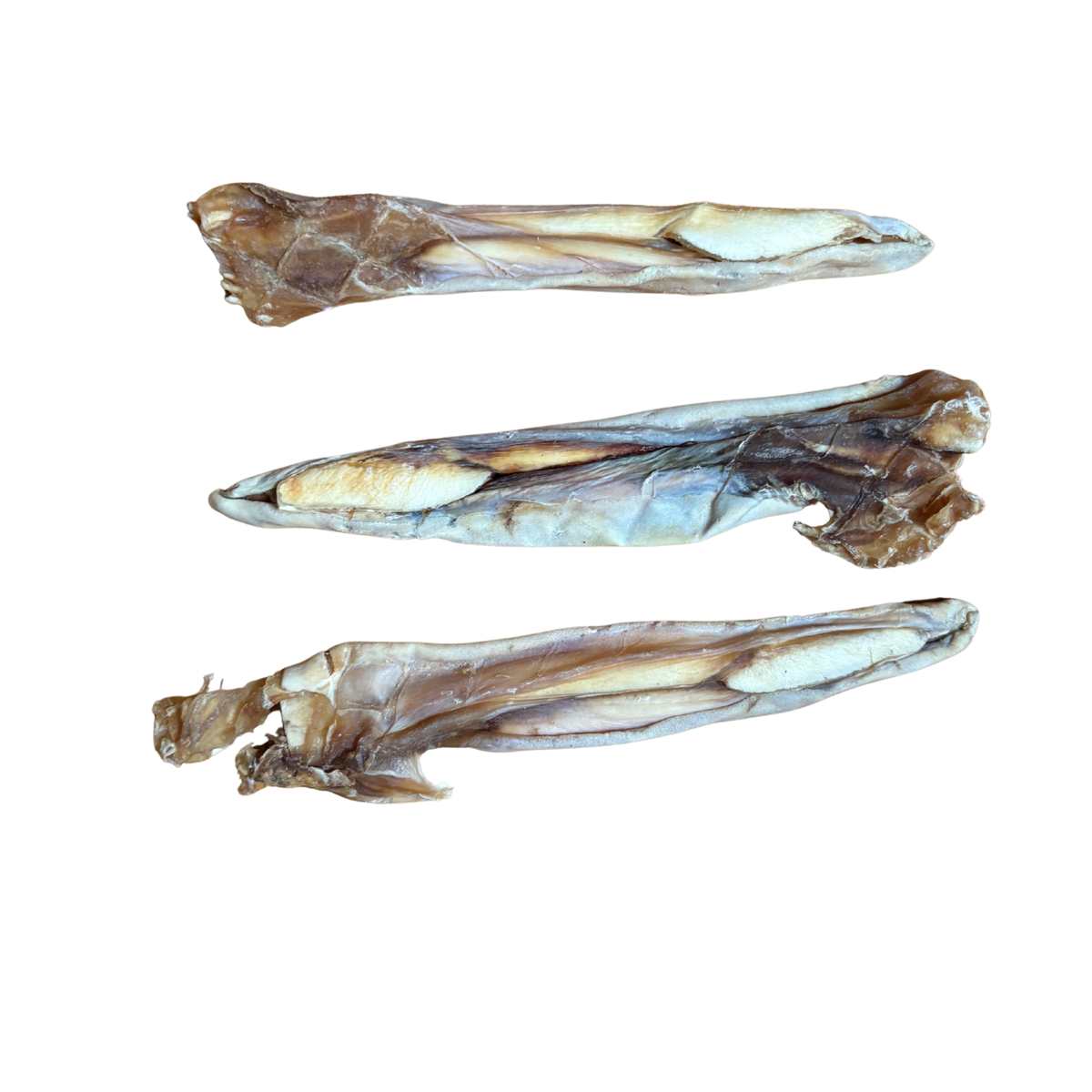 Sharky stick (pizzle)